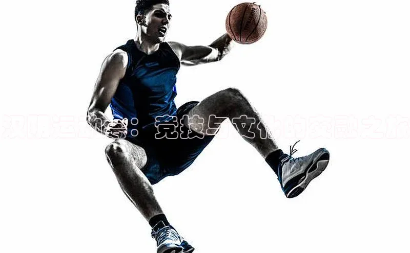 恒盛平台登录入口网页版猫眼汉阴运动会：竞技与文化的交融之旅