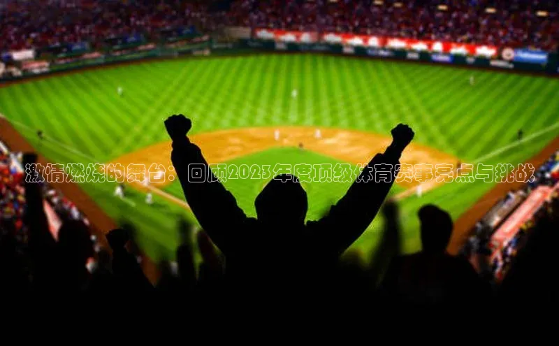 恒盛平台登录入口网页版百度游戏激情燃烧的舞台：回顾2023年度顶级体育赛事亮点与挑战