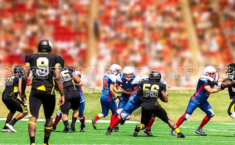 全球视野下的中国未来运动会：展望与策略