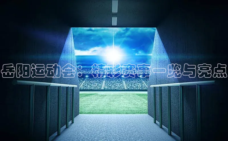 岳阳运动会：精彩赛事一览与亮点