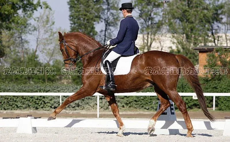 党员先锋引领：创新力量助跑未来——党员先锋助力运动赛事