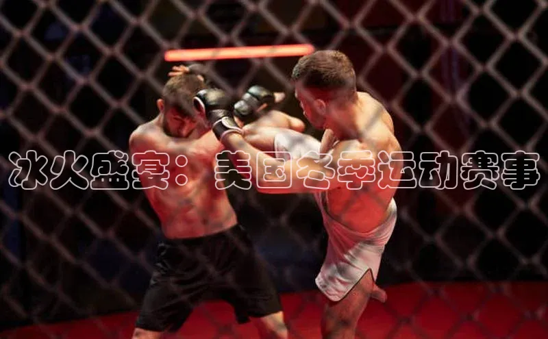 冰火盛宴：美国冬季运动赛事