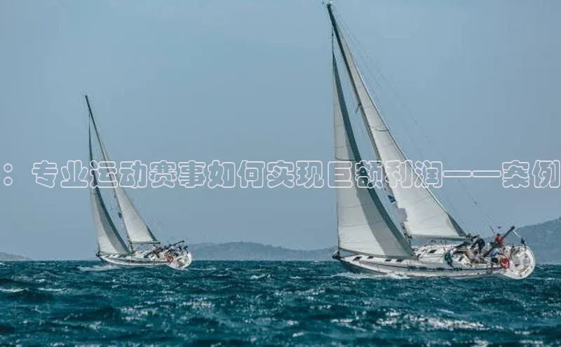 ：专业运动赛事如何实现巨额利润——案例
