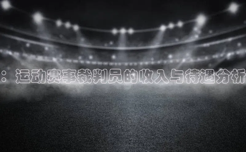 ：运动赛事裁判员的收入与待遇分析