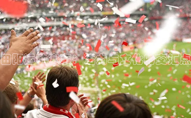 田阳运动赛事：活力与文化的交汇点