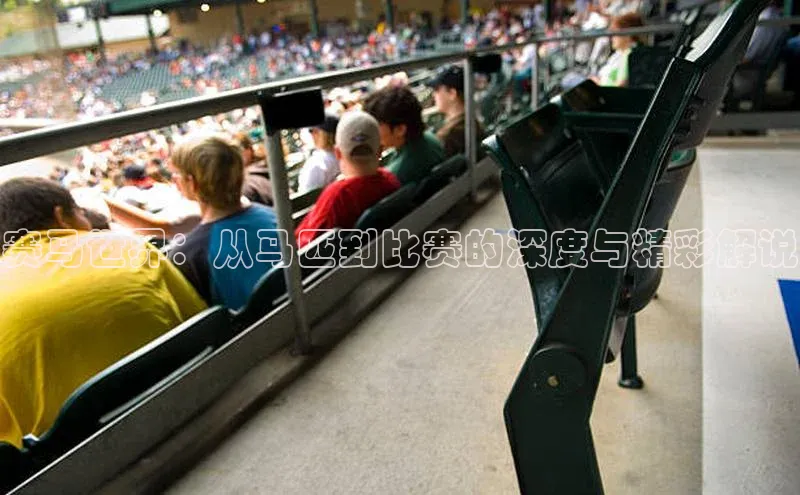 赛马世界：从马匹到比赛的深度与精彩解说