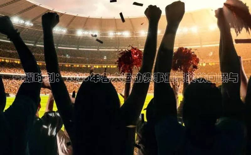 荣耀时刻：2023年各大运动赛事重要奖状回顾与