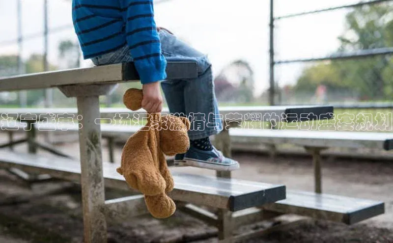 辽宁盛事：一场汇聚激情与荣耀的运动盛宴规划