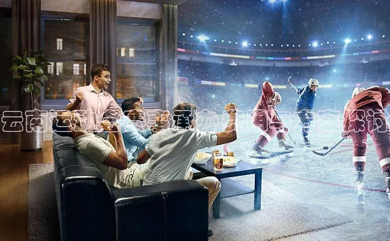 云南运动会赛事承办费用与方案探讨